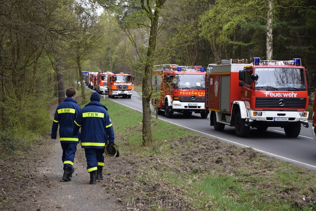 Waldbrand Wahner Heide Troisdorf Eisenweg P295.JPG - Miklos Laubert